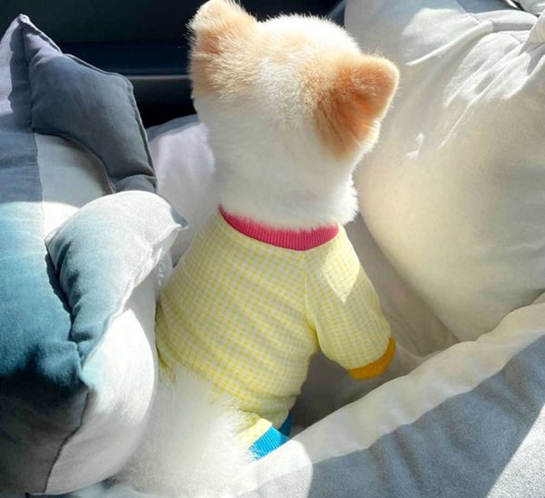 

summer thin pet t-shirt