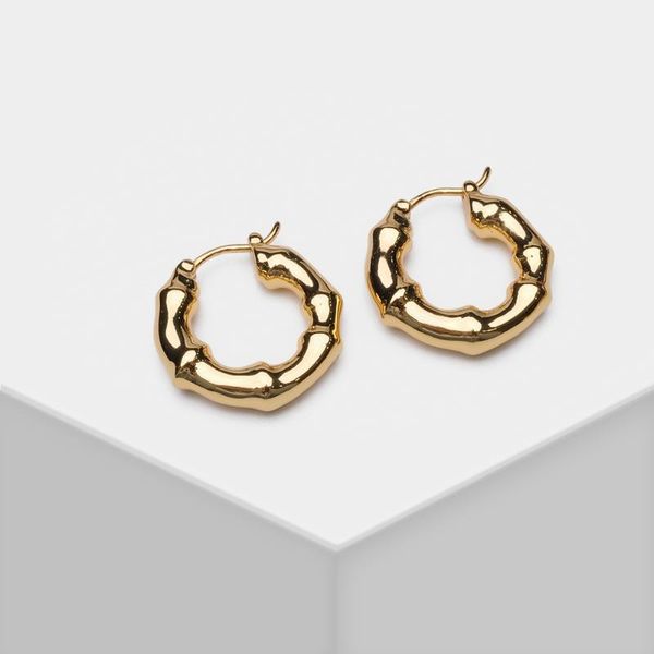 

hoop & huggie 2021 design fashion gold palted earrings, Golden;silver