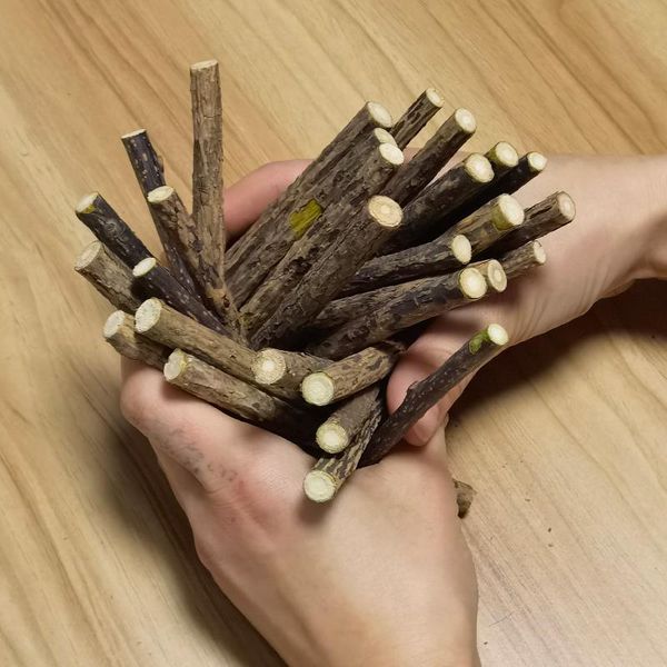 

50g/100g natural catnip pet cat toy molar toothpaste branch cleaning teeth sticks 120mm x 7-10mm toys