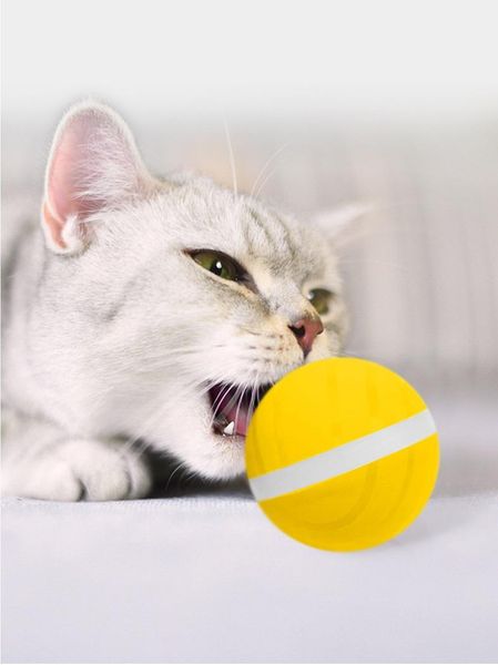 

smart home control interactive rgb let pet ball toy bounce for dog cat with remote usb rechargeable 360Â° auto