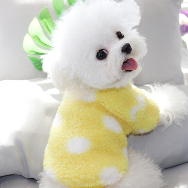 

dog apparel winter clothes knitted pet sweater for small dogs puppy cat vest