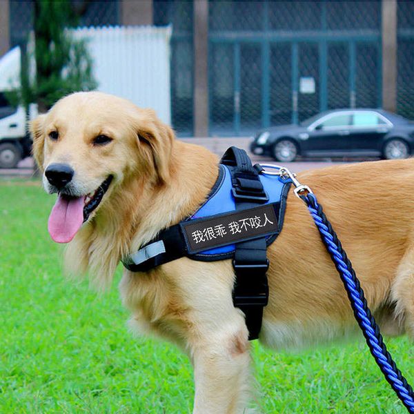 

dog chest strap large golden alaskan medium horse chain dog leash collar