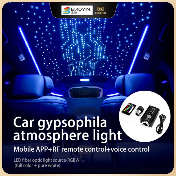 Car Meteor Twinkle Roof Light Starry Sky Interni auto Stelle Lampada decorativa a soffitto Accessori per auto Illuminazione a fibre ottiche a colori