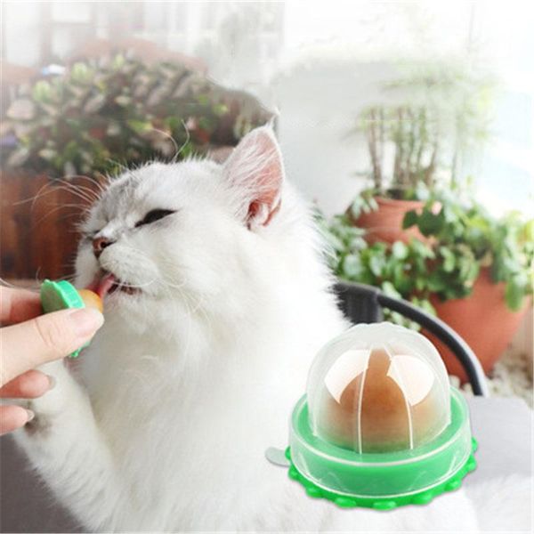 

cat toys sugar ball snack candy licking solid nutrition treat energy toy with natural catnip and sucker for