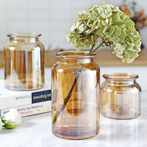 

vases glass vase home small hydroponic plant bottle living room decoration dried flower transparent mj710
