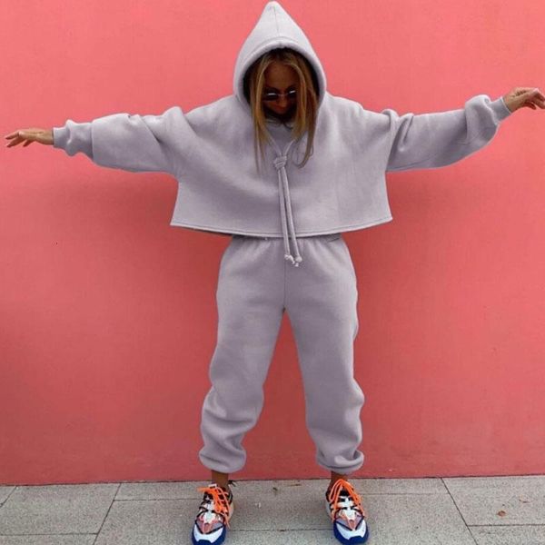 

women's tracksuits fashion solid drawstring women tracksuit two piece set elegant hooded sweatshirts pullover and casual long pants st, Gray