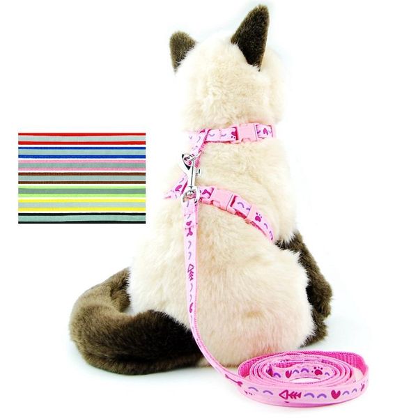 

cat collars & leads dog collar harness leash traction rope chest strap pet safe gentle leader come with kitten reflective drop