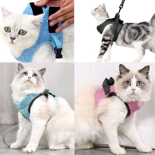 

cat collars & leads harness escape proof luxury jacket adjustable and leash set kitten small dog soft mesh vest accessories