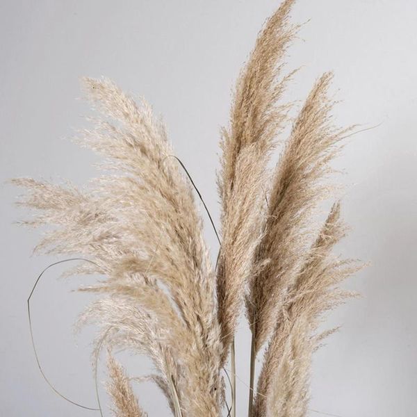 

decorative flowers & wreaths gedroogde natuurlijke pampas gras decor phragmites bloemen thuis kerst decoratie planten bloem boeket