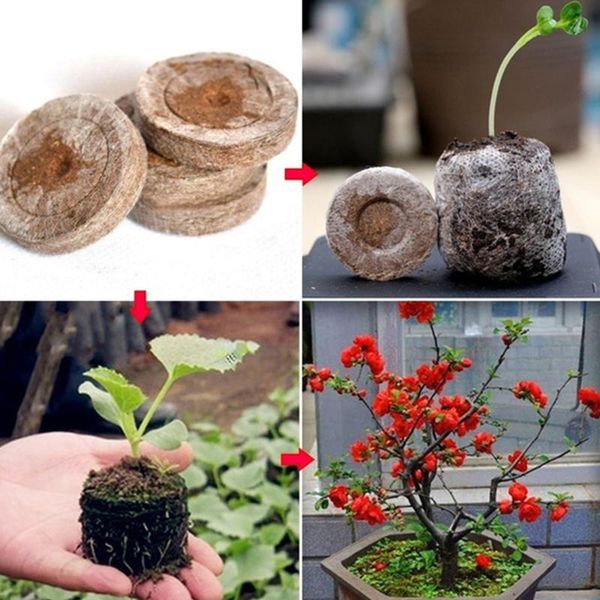 

10pcs 38mm peat pellets seedling soil block maker starting plugs seeds starter professional for garden planters & pots