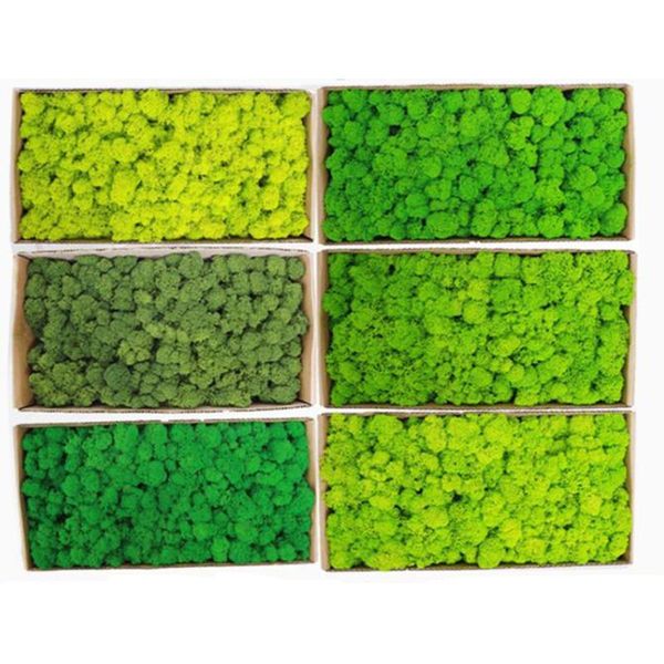 

decorative flowers & wreaths 500g simulation plants eternal life moss for garden home decor wall diy flower material mini micro landscape fa