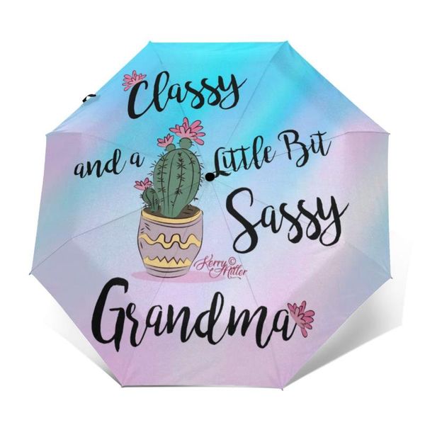 

umbrellas cactus umbrella elegant wind proof auto painting portable sun