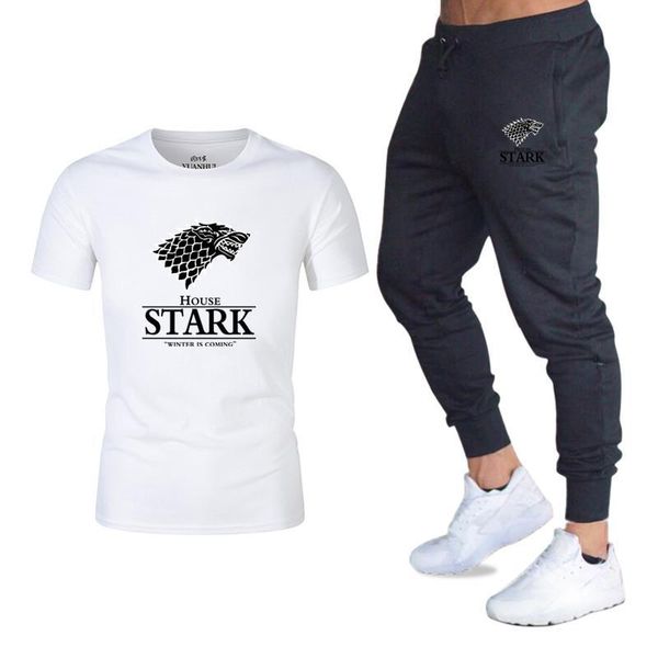 

men's tracksuits t shirts+pants men printing set 2 piece kit tracksuit joggers brand male trousers casual t-shirts sportswear, Gray