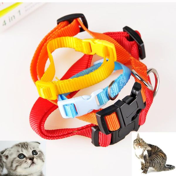 

cat collars & leads anti fleas elimination ticks pet collar cats neck band kill mosquitoes exterminate flea kitty strap kitten