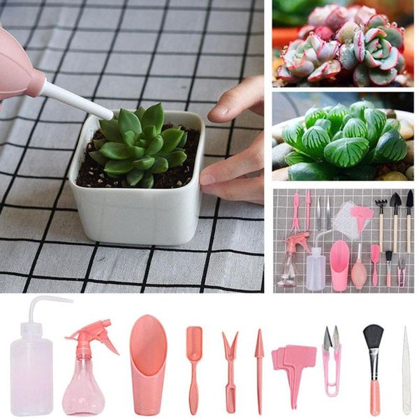 

garden planter kit succulent planting bonsai diy tool set sowing fertilizer drilling device transplant seedling planters & pots
