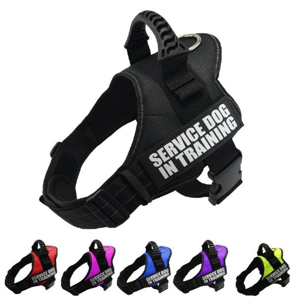 

dog collars & leashes personalized large harness reflective breathable pet for vest id custom patch outdoor walking products