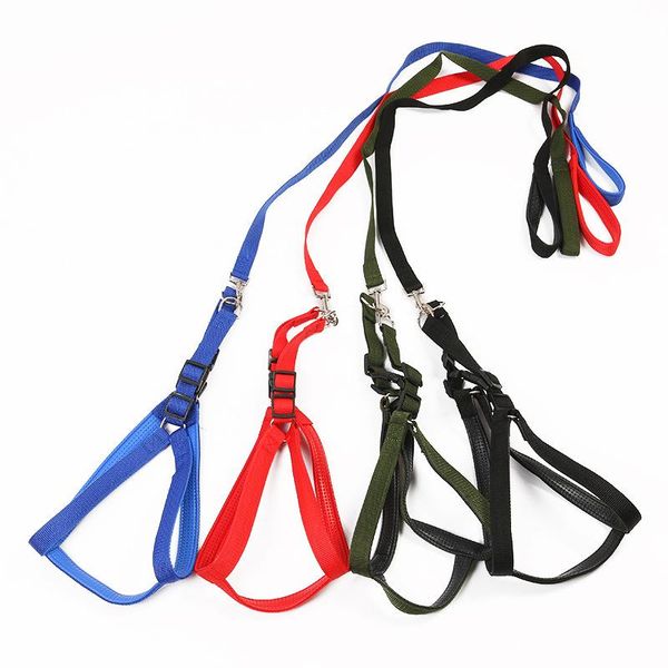 

dog collars & leashes pet cat products harnesses luxury elegant leads rope