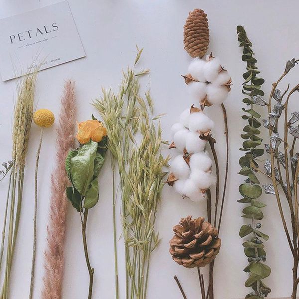 

bouquet eucalyptus cotton pampas grass natural dried flowers desk decoration centerpieces table accessories po ddecor decorative & wreaths