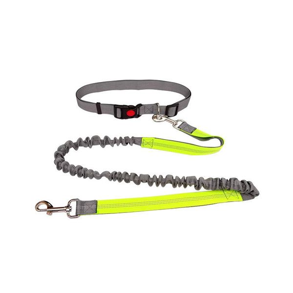 

adjustable pet dog leash running retractable elasticity lead leashes hand y walking traction rope for products collars &