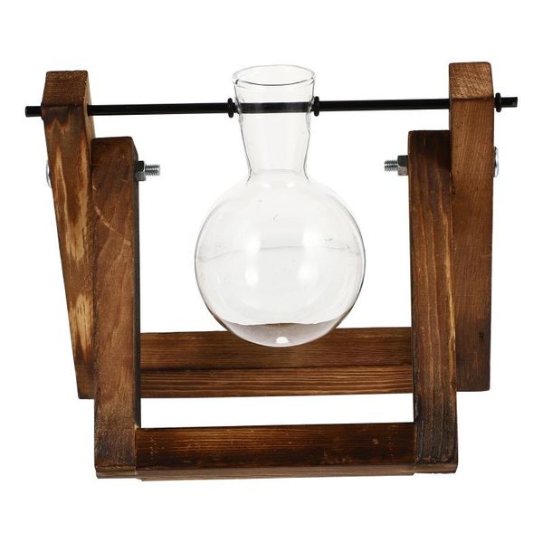 

vases 1set simple style transparent vase for hydroponics flowers plants