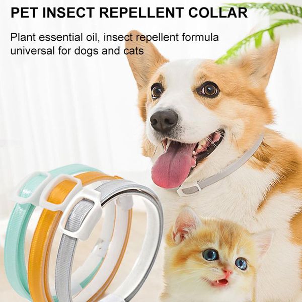 

cat collars & leads adjustable dogs flea and tick collar for dog puppies waterproof safe insect repellent anti mite with natural essential o