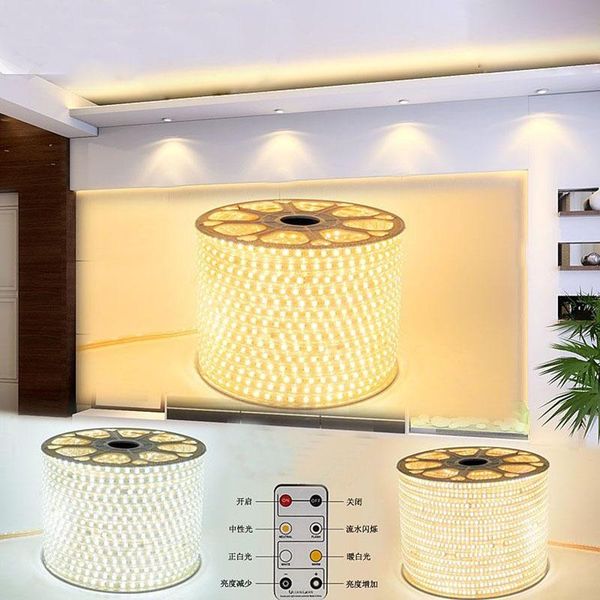 

100m/lot dimmable led strip lighting smd 2835 120leds/m 220v flexible light tiras tape waterproof ip67 remote controller strips