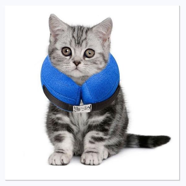 

cat collars & leads 1pc pet inflatable swim ring for cats small dogs blue grey color available accessories
