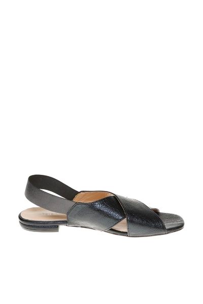 

sandals, Black
