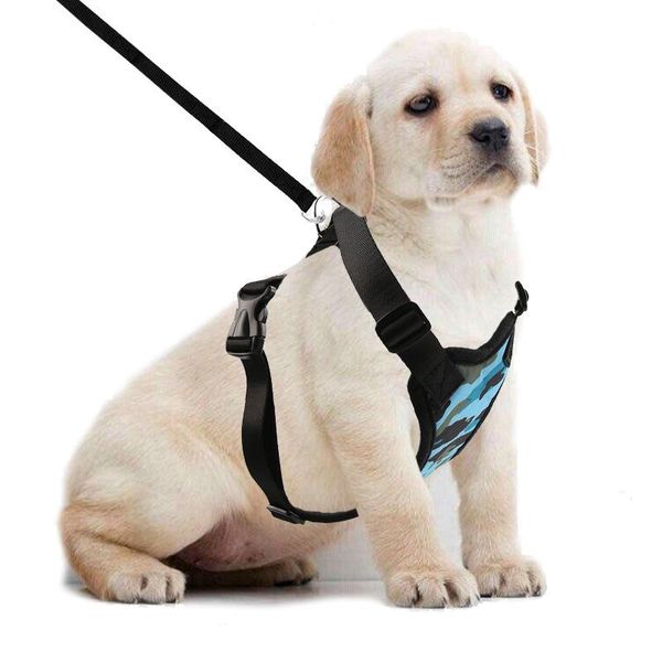 

dog apparel harness adjustable pet vest with leash rope for all size cat breathable mesh no-pull sport