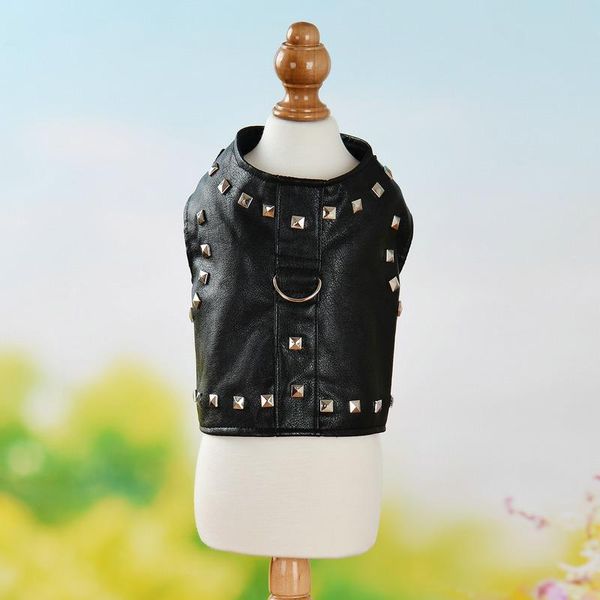 

cat costumes pet dogs cats clothes autumn and winter warm jacket sphinx costume cool coats hoodies sphynx ching