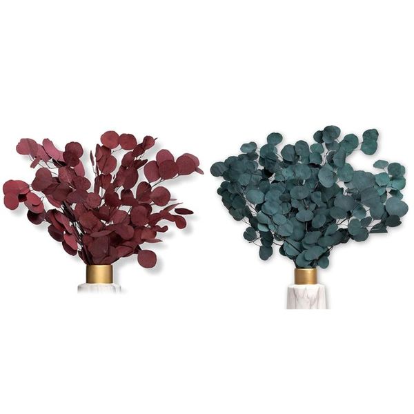 

decorative flowers & wreaths eucalyptus as dried an eye-catcher, forever durable for decoration-abux