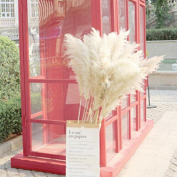 

vases dried pampas grass decor wedding flower bunch natural plants for home christmas decorations gift dry