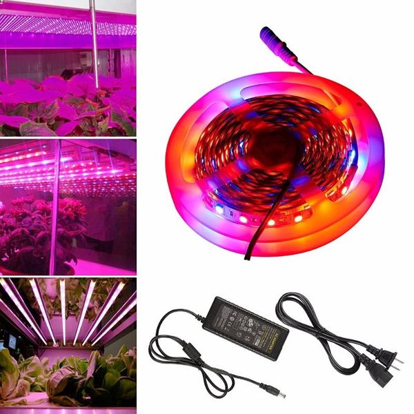 

5m led grow lights growing strip ip20 plant growth fita de light for greenhouse hydroponic and power adatper strips