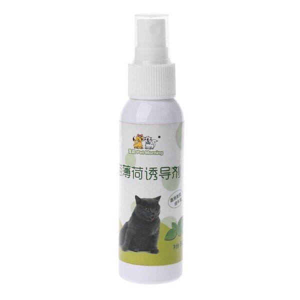 

cat toys catnip pet training toy natural healthy mint funny scratch spray k3na