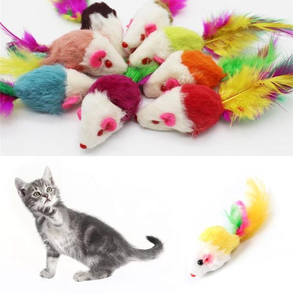 

cat toys amz follow sell random colors with colored tail mo plush z4q6