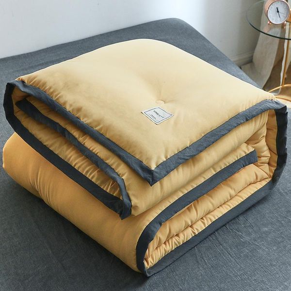 

comforters & sets 4 sizes choose feather velvet quilt winter autumn blankets/5 colors comforter thickening warm cf