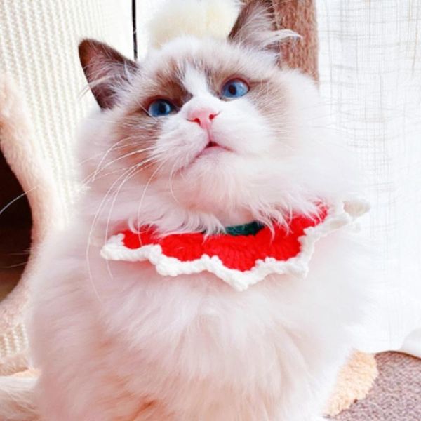 

cat collars & leads 1pc collar hand-knitted wool dog universal kitten for cats bib shawl pet supplies christmas year