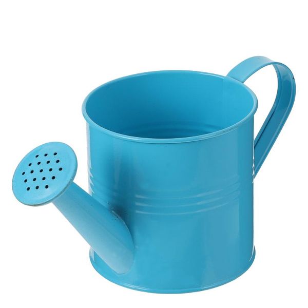 

watering equipments pot indoor outdoor flowers succulent can with spray spout