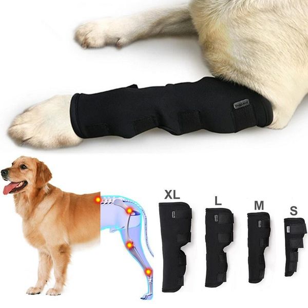 

dog apparel 2pcs/lot pet knee pads support brace for leg hock joint wrap breathable injury recover legs protector
