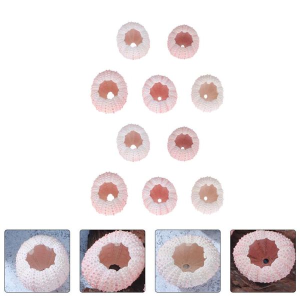 

10pcs air plant sea urchin shell planter pot tabledecoration ornament novelty items