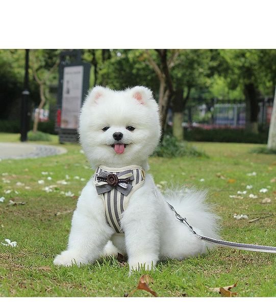 

dog apparel style pet chest strap mesh breathable vest leashing rope small and cat products