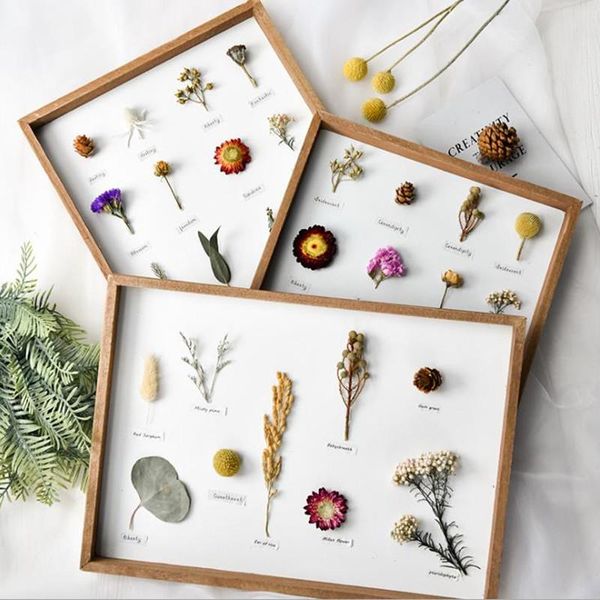 

cutelife white nordic wood po frame specimen plant vintage picture wall frames dried flowers poster home decor