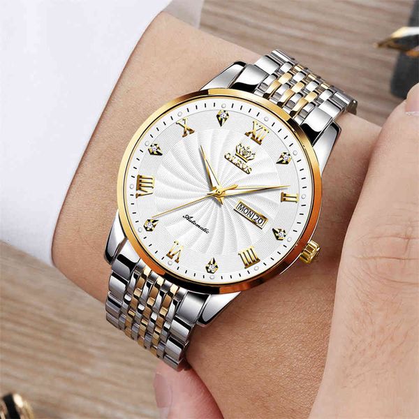 

luxury watches men automatic mechanical classic fashion limited edition brand for men reloj hombre, Slivery;brown