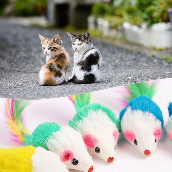 

cat toys false mouse pet fashion mini with colorful playing funny for cats feather c1q1