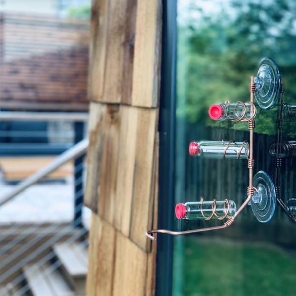 

bird cages hummingbird feeder window suction cup feeding glass decorative cage pet supplies