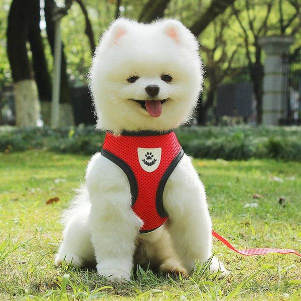 

dog collars & leashes soft reflective adjustable harnesses walking breathable vest with leash small dogs pet clothes supplies