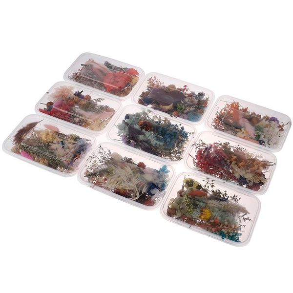 

5styles real dried flower dry plants for diy candle epoxy resin pendant necklace jewelry making craft accessories decorative fl flowers & wr