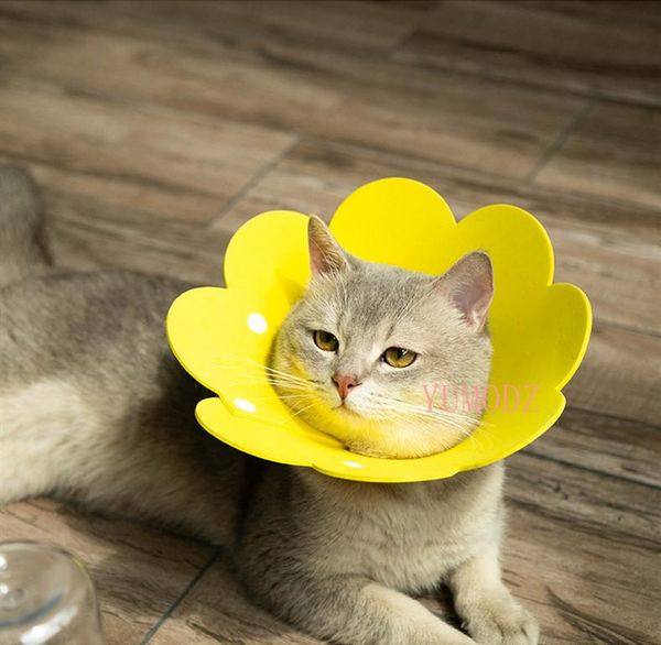 

cat collars & leads sun flower shape puppy neck protective circle collar anti bite grasping licking elizabethan cute