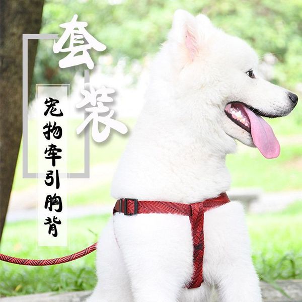 

dog collars & leashes pet cat products twill leads harnesses suit polyester goods