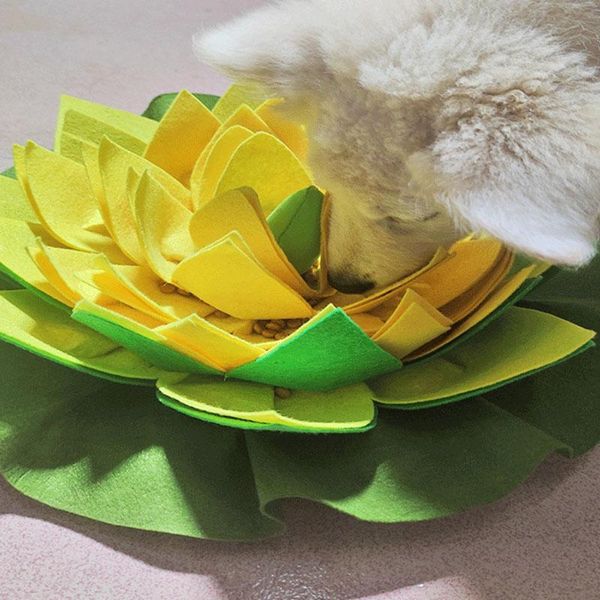 

kennels & pens pet sniffing mat dog weight loss slow looking for lotus